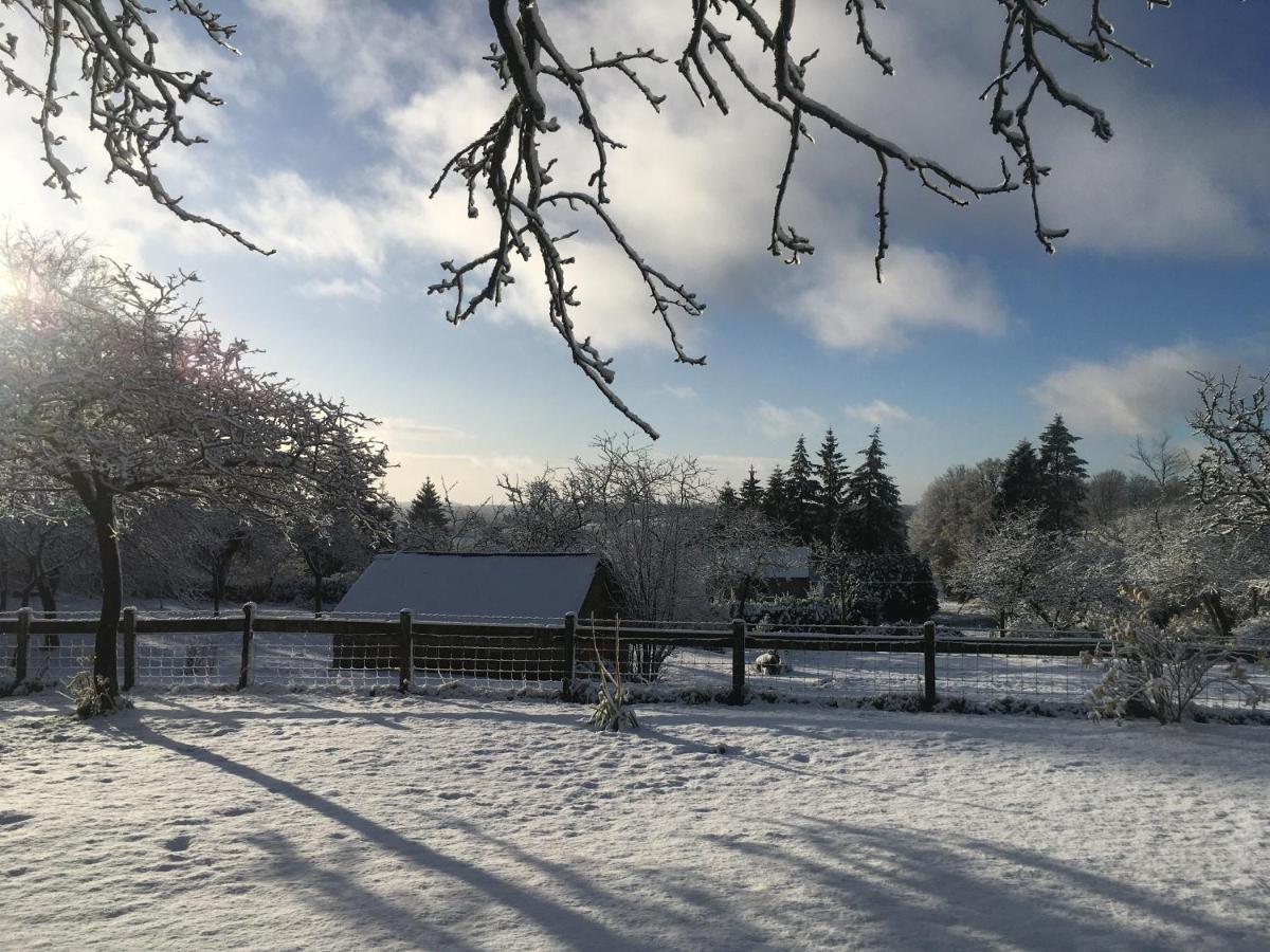 The Gingerbread House Cottage Beauficel Esterno foto